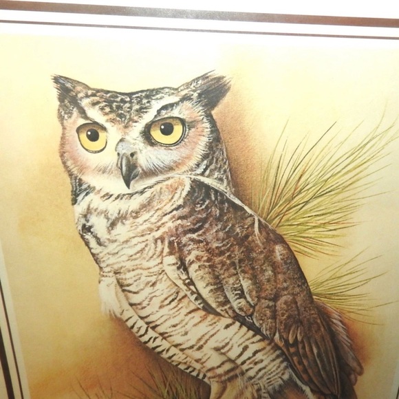 Vintage Owl Wall Art in Brown Frame by Latta - Picture 3 of 3